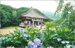 �Ⓦ�R�R�ω���ꏄ��E�Ⓦ�R�R�ω���ꏄ��o�X�c�A�[�\��